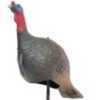 Carry Lite Easy Fold Jake Turkey Decoy